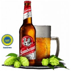 Plzeňský Prazdroj Gambrinus Originál 10