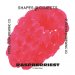 Shapes & Objects Raspberriest 6,0% 20 l PolyKeg 
