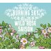 Burning Sky Wild Rose Saison Burning Sky Wild Rose Saison