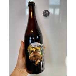 Cobolis Yellowstone Cobolis Yellowstone