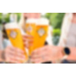 Hachenburger / Westerwald-Brauerei Hachenburger Weizenglas, 6er-Set - Hachenburger / Westerwald-Brauerei