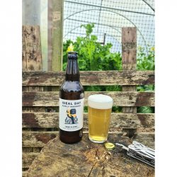 Ideal Day Keep Flying