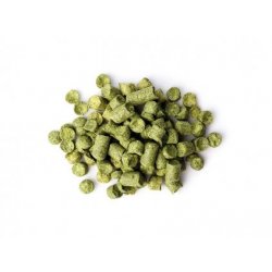 Chmel Nugget (USA) - Beerex