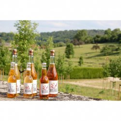 Wignac Ontdekkingsdoos (9+1 gratis) BE BIO 01 - Cideris