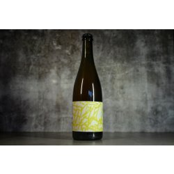 À tue-tête - Surette 2023 - addicted2craftbeer