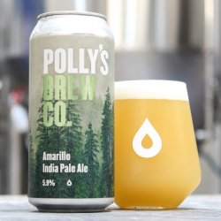 Pollys - The Hop Studio: Amarillo – 5.9% Amarillo India Pale Ale - The Triangle