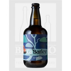 0750 BIRRA CA'BARLEY LA PILS 4.8% VOL. - Baggio - Vino e Birra