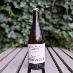 Schneeeule Minverva Schneeeule Minverva