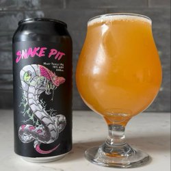 Double Vision Brewing Snake Pit