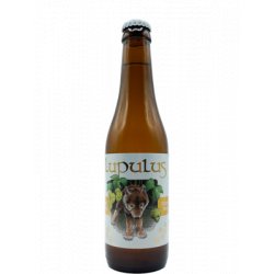 Lupulus Blonde Tripel - Hop-up