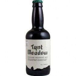 Tynt Meadow 33Cl - Cervezasonline.com