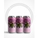 NEW ! BLOSSOM - Jasmine Blossom NEIPA 6.4% - 6 Pack 