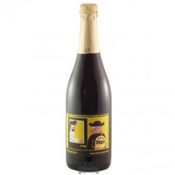 Mikkeller Nelson Sauvin Brut 2020 750ml - 100 Beers