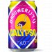 Brouwerij 't IJ Calypso 330ML 
