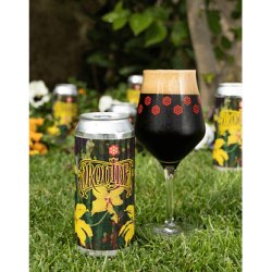 Granizo Orquídea 6-pack - Cervezas Granizo