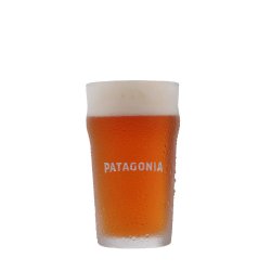 Vaso Patagonia Nonic 500ml - La Oriental