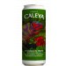 Caleya Chameleon Fruit 