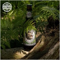 Browar Wrzos Lager Ustroński