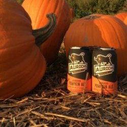 Aurochs Pumpkin Ale 4 Pack12 oz cans - Beverages2u