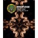 Piwne Podziemie Mindfudge 330ml 