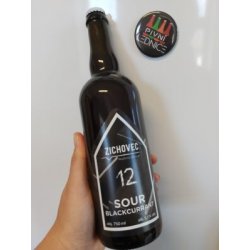 Zichovec Sour Blackcurrant 12°5,1% 0,7l - Pivní lednice