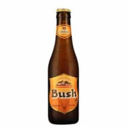 Bush Ambrée 12% Vol. 24 x 33 cl MW Flasche Belgien - Pepillo