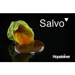 Trident - SALVO - Panama Brewers Supply