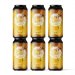 6 x RUST  Vienna Lager 