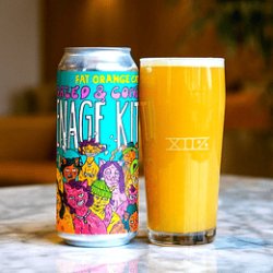 Fat Orange Cat Hazed & Confused Teenage Kittens - Cask Chile