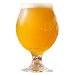Nelson IPA 20L 