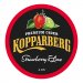 Kopparberg Strawberry and Lime 30L Keg 