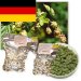 Hallertau Tradition 2024 5,7% (100g500g) 