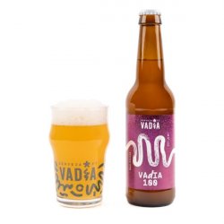 Vadia 100 (Sem álcool) - PCB - Portuguese Craft Beer