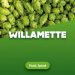 Hop cones Willamette 5 kg 