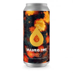 Pollys - Mambo Fire - 5.5% Mosaic Amarillo Pale - 440ml Can - The Triangle