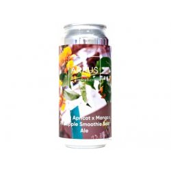 Arpus - Peach X Apricot X Mango X Pineapple Smoothie Sour Ale 0,44l plech 4,5% alk. - Beer Butik