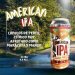 Cerveza 3 Postales  American IPA  Lata 480ml 