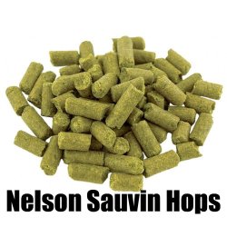 Nelson Sauvin Hops T90 - Pellet - 50g - Brewbitz Homebrew Shop