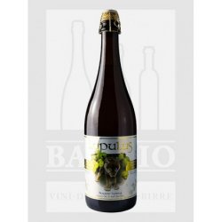 0750 BIRRA LUPULUS BLONDE TRIPLE 8.5% VOL. - Baggio - Vino e Birra