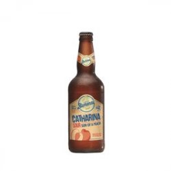 Blumenau Catharina Sour Pêssego 500ml - CervejaBox