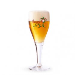 BICCHIERE BRUGSE ZOT grande - Birre da Manicomio