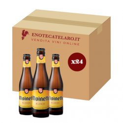 Dupont Moinette Blonde 8.5% 24x33cl - Enoteca Telaro.it