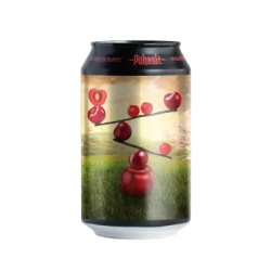 Puhaste Momentum Cherry 33cl.-Imperial Baltic Porter - Passione Birra