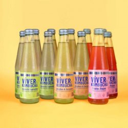 Viver KOMBUCHA PACK CLÁSICO - Viver Kombucha