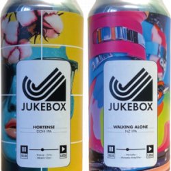 MAXI PACK IPA du moment  24 cans - Brasserie Jukebox