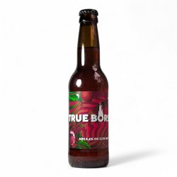 RED CAT True Borsch Sour 0.33L - Rebrew