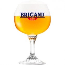 Van Honsebrouck Brigand Bierglas 33cl - Drankenhandel Leiden / Speciaalbierpakket.nl