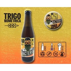 Bacterio Caja 6 Tercios TRIGO NOMÉTRICA - Bacterio Brewing Co.