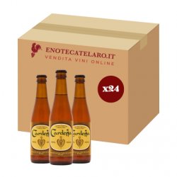 Cardena Tripel Trappist 7% 24x33cl - Enoteca Telaro.it