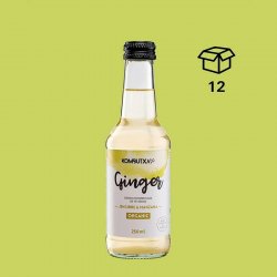 250 ml GINGER Kombutxa (Manzana-Jengibre) - Mun Ferments